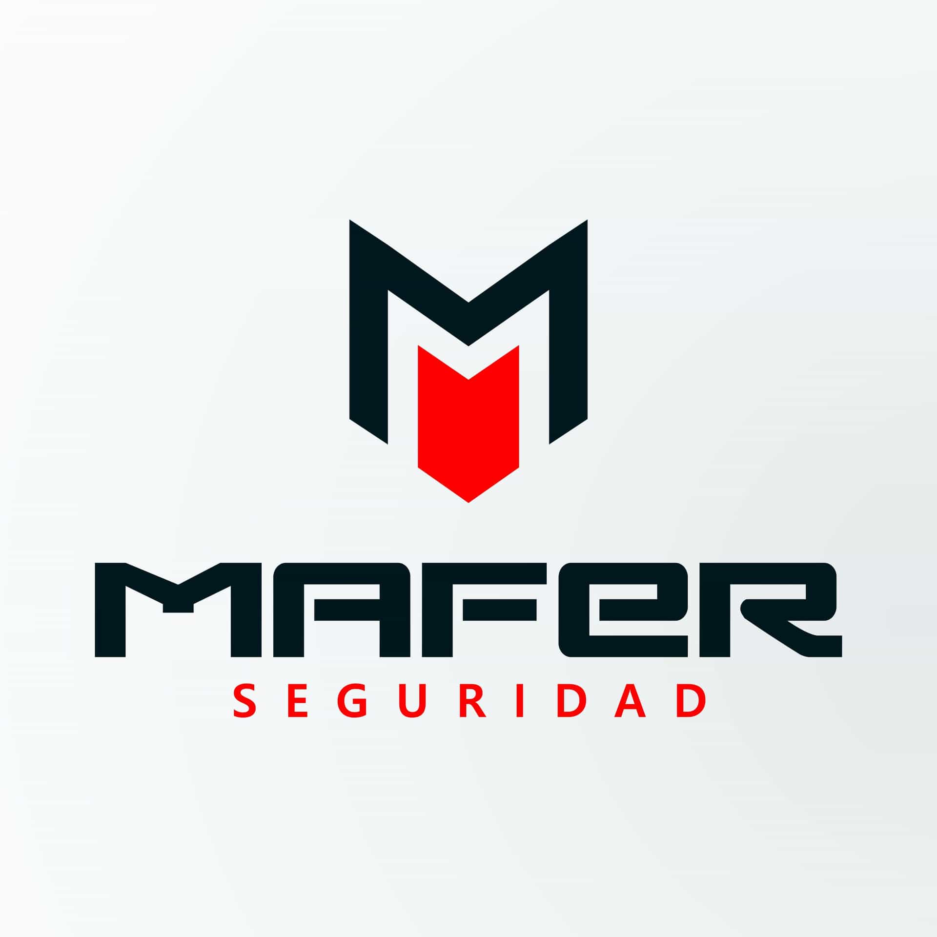 Seguridad MAFER